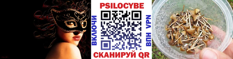 blacksprut вход  Теберда  Псилоцибиновые грибы GOLDEN TEACHER 